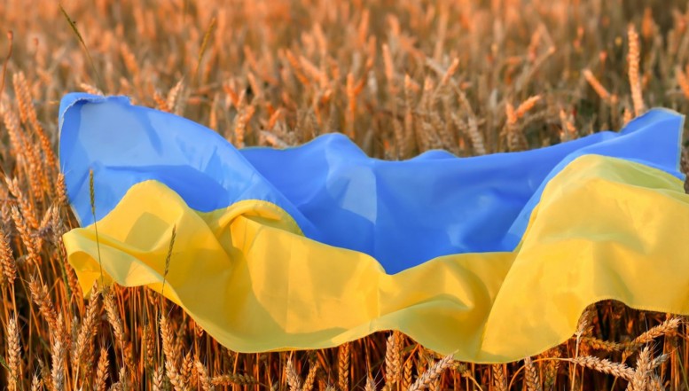 Exporturile ucrainene de cereale, din nou în vizorul Parlamentului European