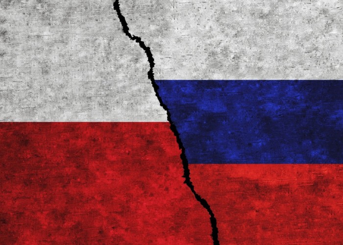 Polonia, afectată de o gravă manipulare economică rusă. În ce domeniu se manifestă influența Moscovei