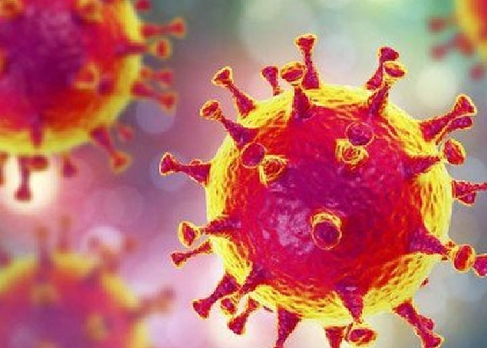 Cercetători francezi, stupefiați de rezistența SARS-Cov-2 la temperaturi foarte ridicate. Care este cea mai eficientă metodă de ucidere a noului coronavirus