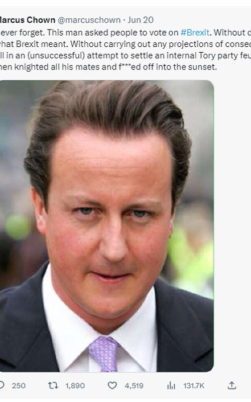 david cameron1