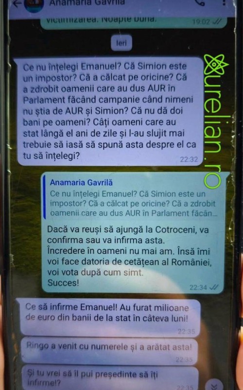 anamaria gavrila4
