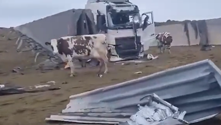 VIDEO. Războiul perfid al Moscovei în Ucraina. Forțele ruse bombardează și jefuiesc fermele agricole. Mii de animale și zeci de mii de tone de cereale au fost aruncate în aer. Specialiștii analizează această strategie cu efecte globale