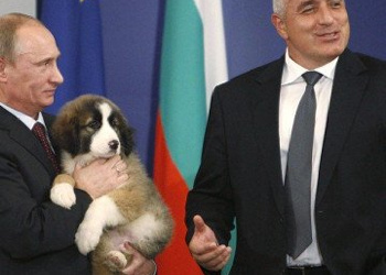 Fostul ambasador al SUA la Sofia șterge pe jos cu premierul bulgar Boiko Borisov: E un Putin diluat! Bulgaria NU e o țară democratică, structurile politice și juridice sunt putrede până-n măduvă  