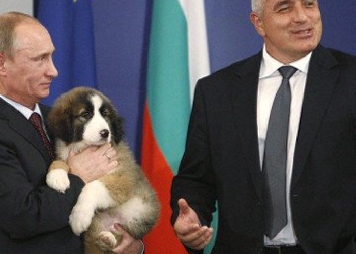 Fostul ambasador al SUA la Sofia șterge pe jos cu premierul bulgar Boiko Borisov: E un Putin diluat! Bulgaria NU e o țară democratică, structurile politice și juridice sunt putrede până-n măduvă  
