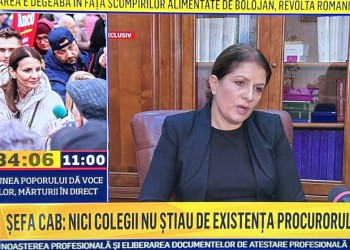 Liana Arsenie s-a apucat serios de „reperat” onoarea justiției române.  Președinta Curții de Apel face turul televiziunilor infractorilor și le acordă declarații în exclusivitate despre o pretinsă presiune a DNA de acum opt ani