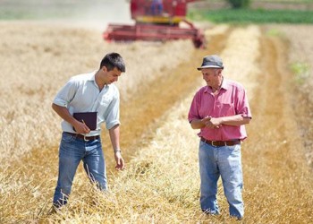 Performanțe istorice în agricultură! România ocupă locul întâi în UE la exporturile de cereale și înregistrează recorduri financiare la comerțul cu animale