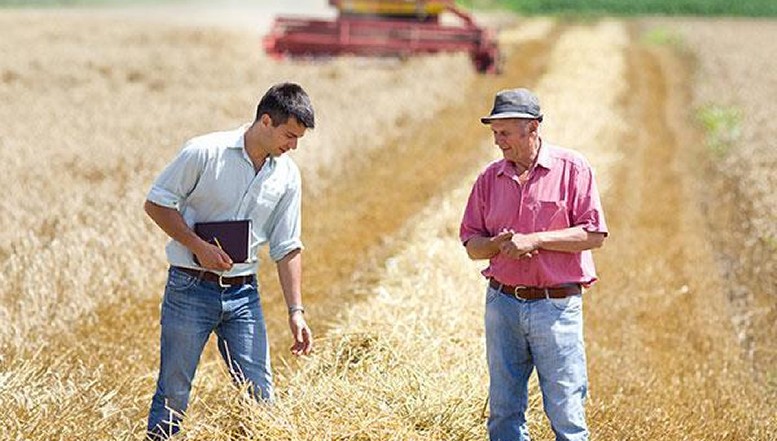 Performanțe istorice în agricultură! România ocupă locul întâi în UE la exporturile de cereale și înregistrează recorduri financiare la comerțul cu animale