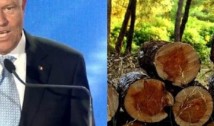 Desfișările ilegale. Iohannis denunță un fake news marca PSD și spune că se va implica pentru a proteja pădurile: "Datele sunt de speriat"!