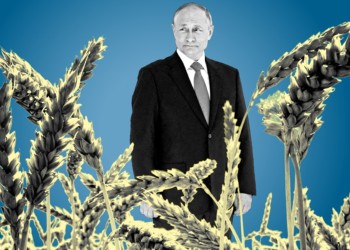 EXCLUSIV:  Cum șantajează Putin lumea cu foametea, după ce Rusia a premeditat eșuarea acordului privind cerealele la Marea Neagră. Care sunt MIZELE Kremlinului / Anna Neplii
