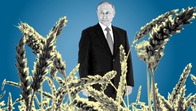 EXCLUSIV:  Cum șantajează Putin lumea cu foametea, după ce Rusia a premeditat eșuarea acordului privind cerealele la Marea Neagră. Care sunt MIZELE Kremlinului / Anna Neplii