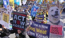 Coreea de Sud interzice din nou, în plan legislativ, comerțul cu carne de câine. Când a mai fost interzis și de ce nu a intrat în vigoare interdicția propriu-zisă