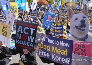 Coreea de Sud interzice din nou, în plan legislativ, comerțul cu carne de câine. Când a mai fost interzis și de ce nu a intrat în vigoare interdicția propriu-zisă