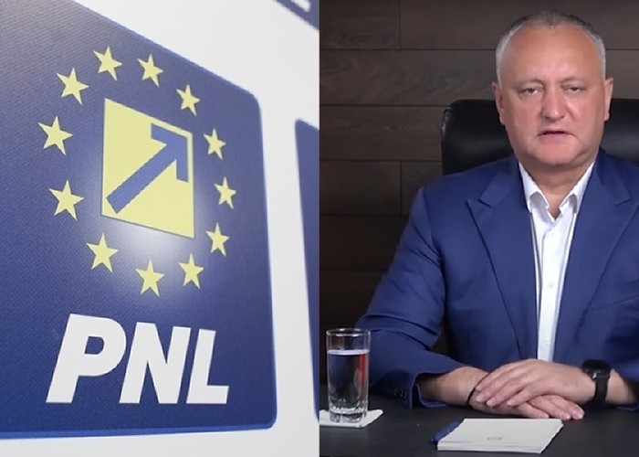 "Diaspora poate și are dreptul să schimbe efectiv perspectiva!". Un senator PNL, declarație care-i provoacă insomnii rusofilului Dodon. Miza aparte a alegerilor din 11 iulie