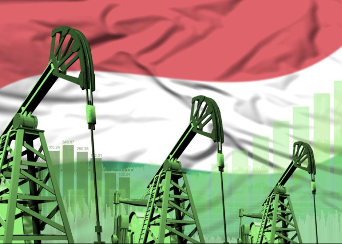 Mol cere Guvernului de la Budapesta eliberarea rezervelor strategice de petrol, după ce Kievul nu a mai permis tranzitul petrolului rusesc. Ce altă soluție va trebui să accepte Ungaria pentru aprovizionarea cu petrol