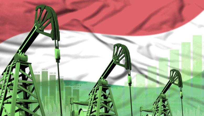 Mol cere Guvernului de la Budapesta eliberarea rezervelor strategice de petrol, după ce Kievul nu a mai permis tranzitul petrolului rusesc. Ce altă soluție va trebui să accepte Ungaria pentru aprovizionarea cu petrol