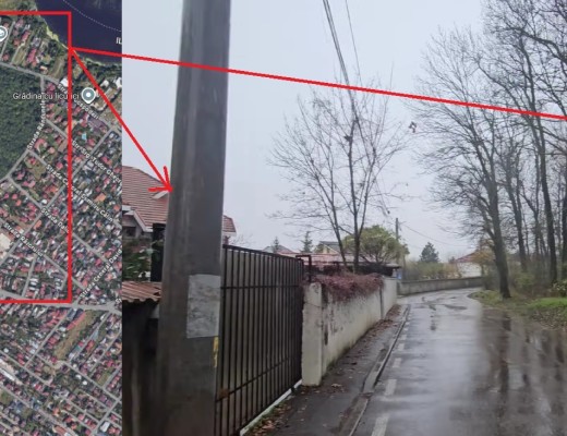 VIDEO Comuna Chiajna a primit gratuit, prin Hotărâre de Guvern, o pădure de aproape 24 de hectare de la Romsilva. Pădurea se află peste drum de „bârlogul” de lux al soților Lia și Mihai Savonea. Coincidență?