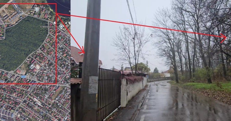 casa lia savonea padure chiajna1