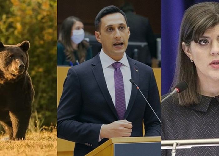 Cazul uciderii ursului Arthur ar putea ajunge pe masa lui Kovesi. Europarlamentarul Vlad Gheorghe, solicitare către Comisia Europeană