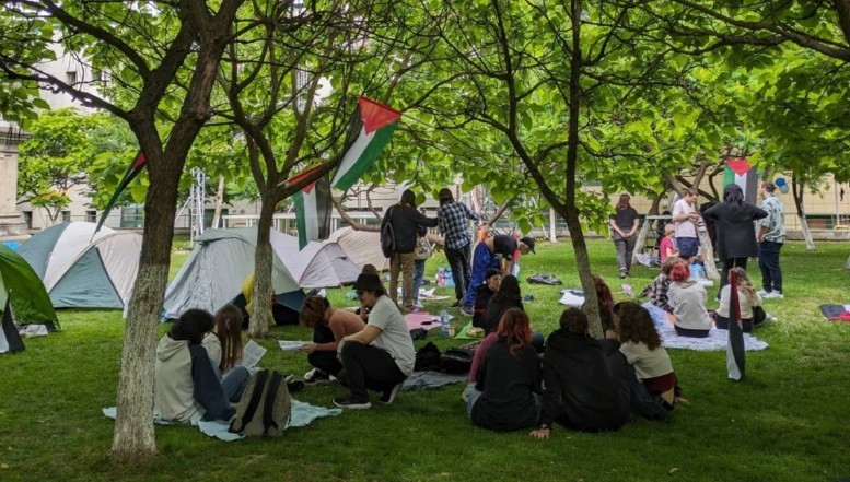 VIDEO. Studenții de la Universitatea București au instalat o „tabără” pro-palestiniană, cu corturi și steaguri, în grădina Rectoratului / „Studenții cer ca Universitatea din București să înceteze orice fel de colaborare cu Israelul sau cu instituții din Israel”