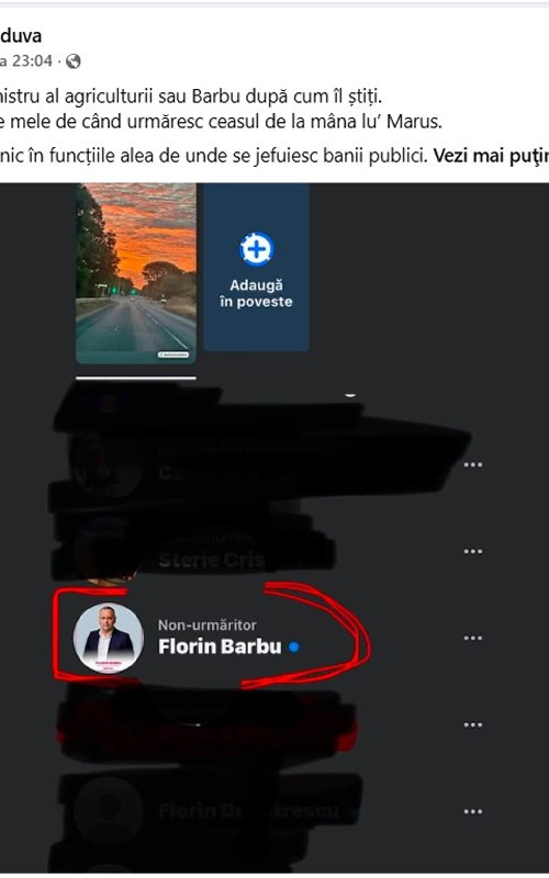 mihai vaduva1 florin barbu1