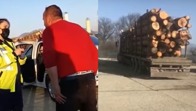 VIDEO Polițista care a deranjat mafia lemnului, amenințată că se poate recurge la "fel și fel de variante" contra ei. Întrucât a îndrăznit să-și facă datoria, agentul de poliție a fost supus unei anchete interne