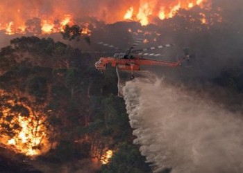 Românii din Australia explică de ce incendiile de anul acesta sunt mai grave decât cele anterioare. „Sunt de 24 de ani aici și nu-mi aduc aminte să fi fost o vară fără focuri. Natura se reface foarte repede, după câteva luni, nici nu mai vezi pe unde a fost focul”