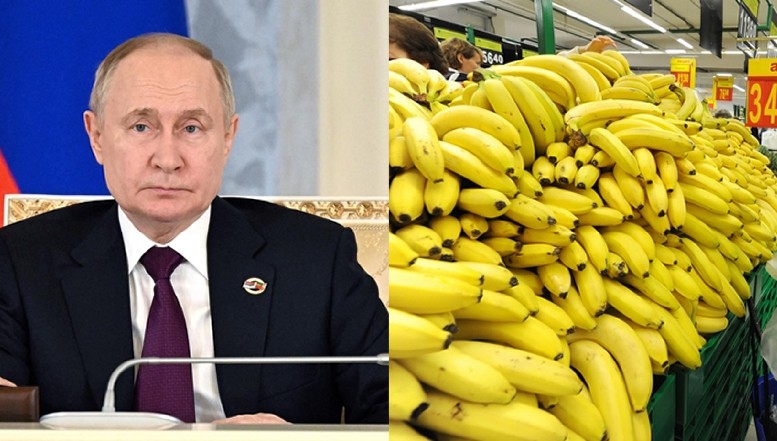 Criză de banane în Rusia din pricina unei măsuri luate recent de Putin! Rușii, sfătuiți de un oficial să înceapă să cultive banane pe teritoriul Rusiei