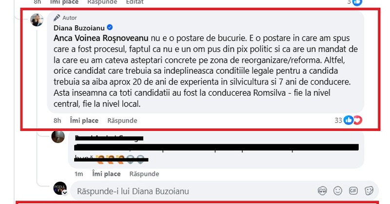 buzoianu romsilva comentariu1