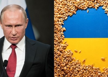 Datele care confirmă că Rusia comite o formă de terorism alimentar global pe fondul războiului pe care-l poartă contra Ucrainei. Ce impact are la nivel mondial blocada alimentară impusă de Kremlin. Mai mult, "Moscova folosește foamea ca tactică pentru a șterge identitatea ucraineană la aproape 90 de ani după Holodomor"