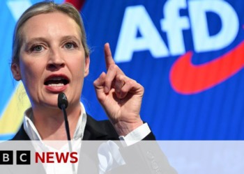Germania: AfD dă în judecată Agenția Federală de Informații (BfV) pentru acuzația de extremism