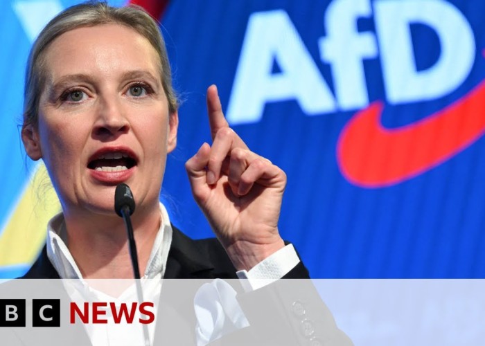 Germania: AfD dă în judecată Agenția Federală de Informații (BfV) pentru acuzația de extremism