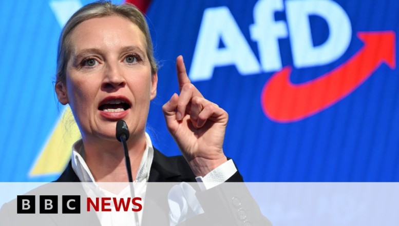 Germania: AfD dă în judecată Agenția Federală de Informații (BfV) pentru acuzația de extremism