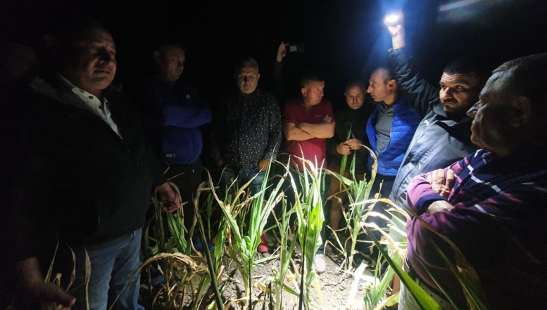 Scene ireale cu ministrul Daea pe un câmp din Buzău, în creierii nopții. Un deputat PSD local laudă cu slugărnicie peripețiile nocturne ale comunistului de la Agricultură