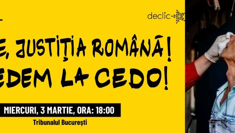 „Mergem mai departe pentru DREPTATE!” Victimele violențelor din 10 august anunță că își vor căuta dreptatea la CEDO. Protest la Tribunalul București