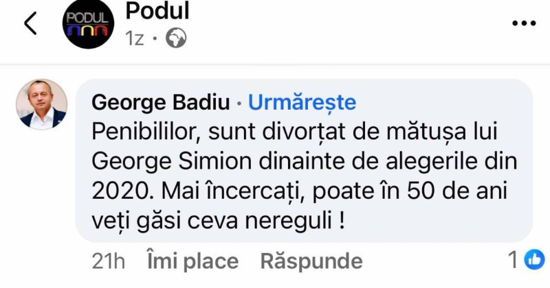 podul george badiu1
