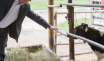 Iurie Reniță șterge pe jos cu rusofilul Dodon: În poză puteți admira DOUĂ ANIMALE!  Portretul unei conserve rusești