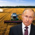 Încă o reușită majoră a campaniei ucrainene de "sancțiuni": agricultura din Rusia, destabilizată! Cum se vaită o deputată rusă: "Oamenii nu știu ce să facă, iar recolta poate rămâne pe câmpuri!" / Ce reclamă un alt oficial: Dacă nu luăm măsuri, atunci nu va exista hrană, nu vor exista cereale!