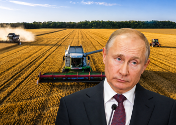Încă o reușită majoră a campaniei ucrainene de "sancțiuni": agricultura din Rusia, destabilizată! Cum se vaită o deputată rusă: "Oamenii nu știu ce să facă, iar recolta poate rămâne pe câmpuri!" / Ce reclamă un alt oficial: Dacă nu luăm măsuri, atunci nu va exista hrană, nu vor exista cereale!