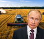 Încă o reușită majoră a campaniei ucrainene de "sancțiuni": agricultura din Rusia, destabilizată! Cum se vaită o deputată rusă: "Oamenii nu știu ce să facă, iar recolta poate rămâne pe câmpuri!" / Ce reclamă un alt oficial: Dacă nu luăm măsuri, atunci nu va exista hrană, nu vor exista cereale!