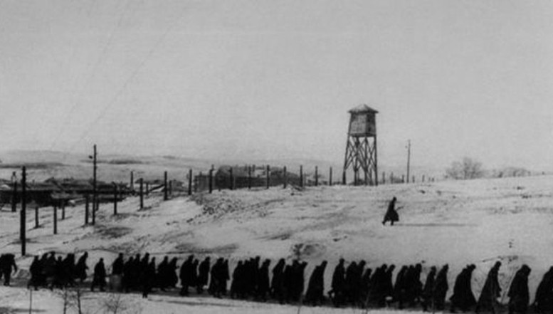 9 luni îngropat de viu într-un cotlon al Gherlei! Cumplita epopee a ofițerului Nicolae Cojocaru, în Siberiile de gheață și în Gulagul de ”acasă”. Drumul cadavrelor. Portretul unui erou uitat