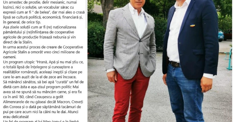 gelu visan georgescu1