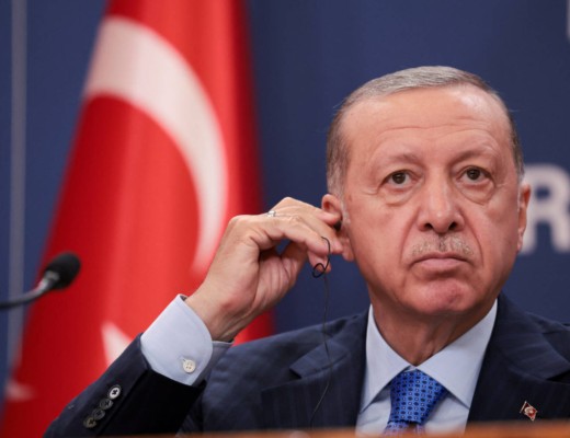 ”Erdogan e un șobolan de canalizare!” Declarația vicepreședintelui Parlamentului German a generat un scandal dilomatic major cu Turcia