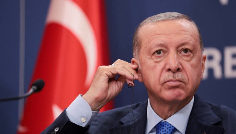”Erdogan e un șobolan de canalizare!” Declarația vicepreședintelui Parlamentului German a generat un scandal dilomatic major cu Turcia