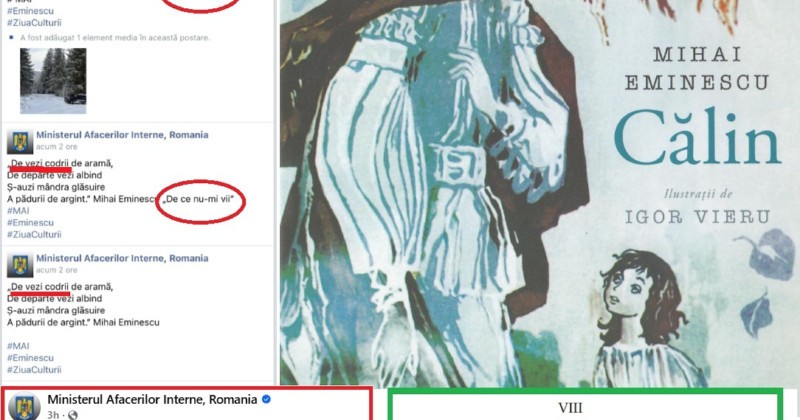 eminescu ministerul de interne1