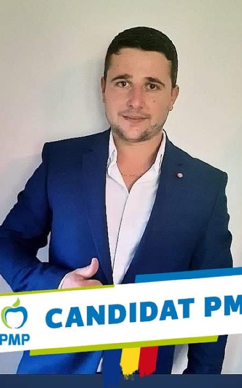 stefanoiu pmp1
