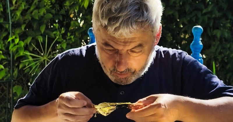 514280465_9996258210503823_5559915821691608009_n