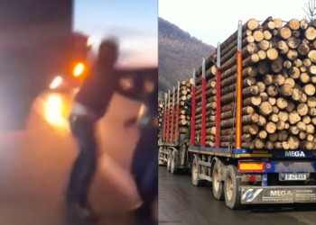 VIDEO Mafia lemnului atacă într-un mod criminal: un activist de mediu, cât pe ce să fie împins în fața unui camion care trecea cu viteză. Diaspora Europeană transmite un memoriu principalilor exponenți de la nivel politic