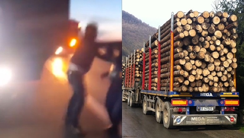 VIDEO Mafia lemnului atacă într-un mod criminal: un activist de mediu, cât pe ce să fie împins în fața unui camion care trecea cu viteză. Diaspora Europeană transmite un memoriu principalilor exponenți de la nivel politic