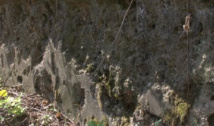 EXCLUSIV Grupaj FOTO: Zidul execuțiilor din Valea Piersicilor, kilometrul 0 al genocidului comunist. Aici au fost ASASINAȚI în masă cei mai frumoși martiri ai României. Misterul celor 4 peri împovărați de roade