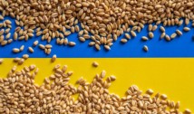 Ucraina se pregătește să dea în judecată Polonia, Ungaria și Slovacia din cauza interdicțiilor impuse de aceste țări asupra importurilor de produse agricole ucrainene